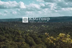 GRAN FINCA SEÑORIAL A 50 KM DE SEVILLA