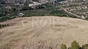 En venta finca para eventos Sierra de Cádiz