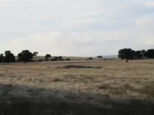 FINCA AGRICOLA, RECREO Y CAZA EN CIUDAD REAL