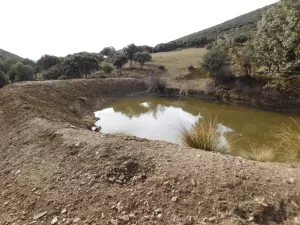FINCA CINEGETICA EN ZARAGOZA - 1327