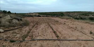 Finca Regadio Caspe Aragon