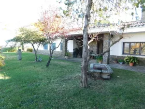 DEHESA GANADERA EN CACERES - 1324