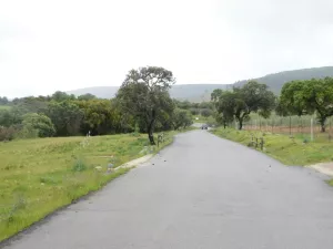 FINCA CON HOTEL DE LUJO EN MONFRAGUE - 1286