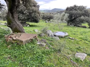 Finca 114 ha de dehesa en Montánchez, Cáceres