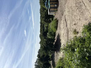 Finca de naranjos en Palma del Río