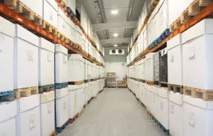 Bodega en venta de vinos naturales