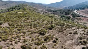 Finca ganadera en Huelva con vivienda y caza