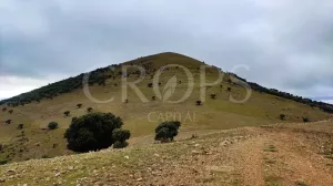 Venta finca de caza con vivienda en Zaragoza