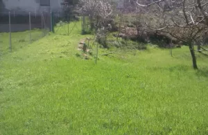 SE VENDE finca en URRIA (Norte de Burgos)