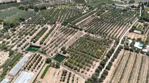 Finca con antigua torre