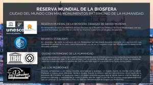 Venta finca de recreo en finca la basílica
