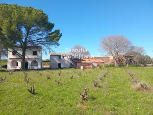 Finca Viñedo con Masia en Produccion