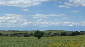 Finca Valdeverdeja