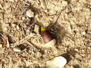 ¡¡¡ FINCA IDEAL PARA MONTAR NEGOCIO RURAL!!!
