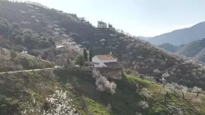 Finca Rústica  Licencia construcción vivienda