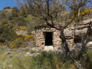 Finca rustica