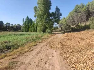 SE VENDE FINCA RÚSTICA EN ALCOCER (GUADALAJAR