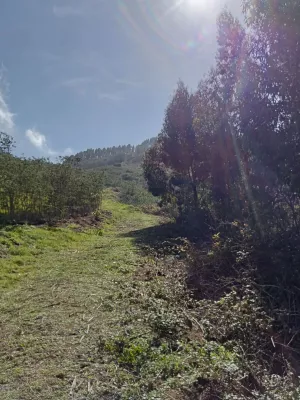 FINCA 31.616 M2 GRAN CANARIA (ISLAS CANARIAS)