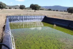 Finca de caza y recreo en Albacete Ref. 1523