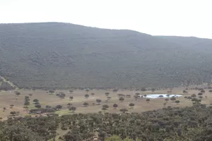 Espectacular finca en Toledo Ref. 1528