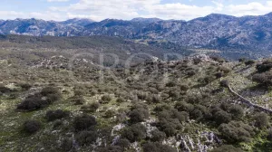 Exclusiva finca de caza en Grazalema