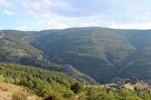 Finca y Establecimiento Turistico