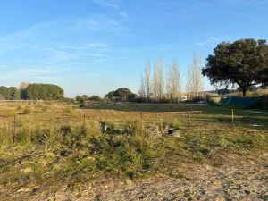 Finca Rústica 2 Hectáreas en Quijorna
