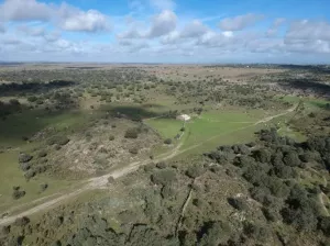 Finca en venta Zona Cáceres