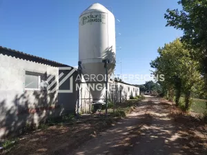 Se Vende Granja de Cerdas en Lleida