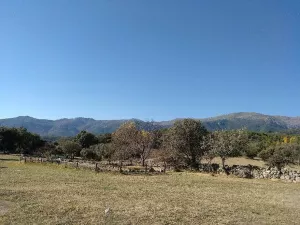 Avila Ref. 1472 Fincas Rusticas Gilmar