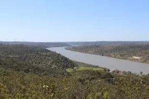 FINCA CINEGETICA EN HUELVA - 1461