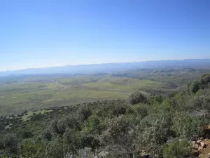 FINCA CINEGETICA EN CIUDAD REAL - 1416