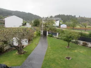 FINCA CON VIÑEDO EN ORENSE - 1362