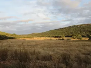 FINCA AGRICOLA, RECREO Y CAZA EN CIUDAD REAL
