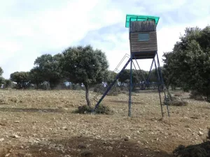 FINCA CINEGETICA EN ZARAGOZA - 1327