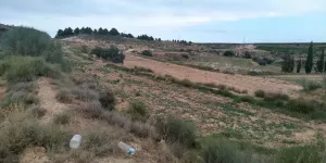 Finca Regadio Caspe Aragon