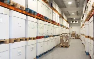 Bodega en venta de vinos naturales