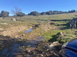 OPORTUNIDAD FINCA GANADERA DE 440has
