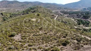 Finca ganadera en Huelva con vivienda y caza