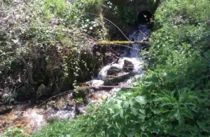 SE VENDE finca en URRIA (Norte de Burgos)
