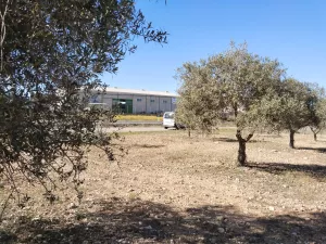 Parcela rústica junto a Polígono Industrial