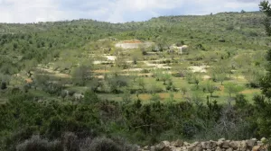 Finca vista mar, pozo y permiso construir