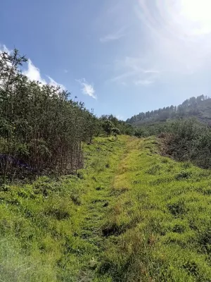 FINCA 31.616 M2 GRAN CANARIA (ISLAS CANARIAS)