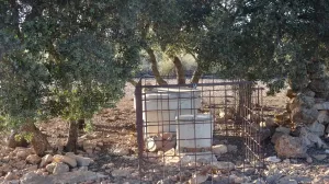 Finca caza menor en Albacete Ref. 1526