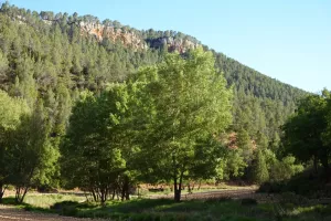 Finca cinegética, agrícola regadío Ref. .1527