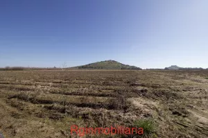 parcela de regadio en venta en Medellin