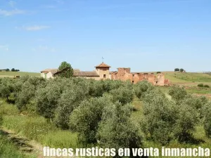 finca en venta 28 has. olivar regadío