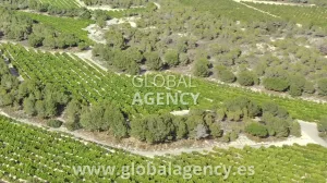 Mansión Lujo, Campo de Golf Privado, 500 ha,