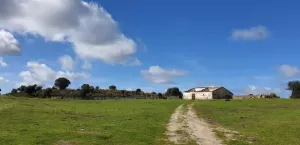 Finca en venta Zona Cáceres