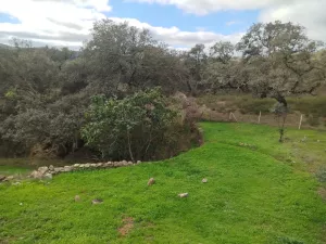 VENTA FINCA EN SIERRA DE ARACENA Y PICOS DE A